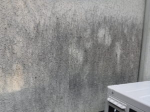 和泉市の外壁塗装・屋根塗装専門店ロードリバース955