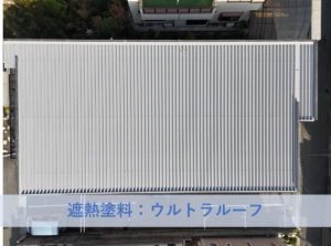 泉北郡忠岡町Ｈ様ハイツ屋根塗装工事