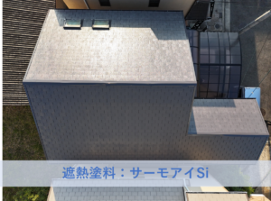 和泉市T様邸屋根塗装工事